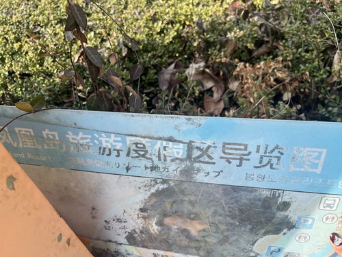 記者在現(xiàn)場(chǎng) 導(dǎo)覽裝置無(wú)人維護(hù) 市民呼吁加強(qiáng)管理