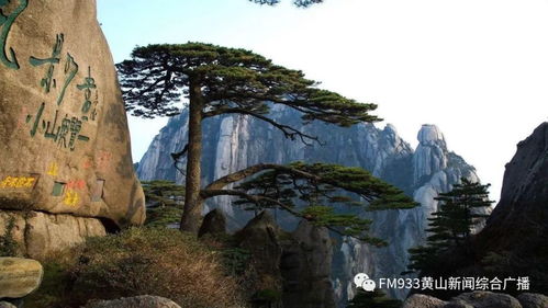 我市出臺(tái)景區(qū)有序開放工作指南