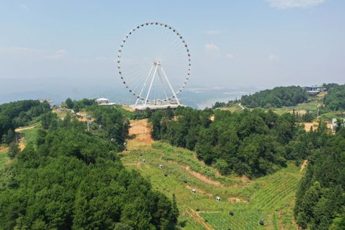 美心紅酒小鎮(zhèn)入選全國 萬企興萬村 行動(dòng)優(yōu)秀案例庫第一批擬入庫案例名單