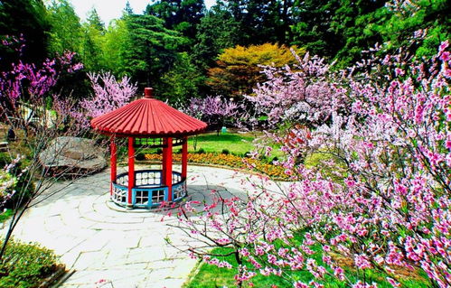 廬山室外景點(diǎn)恢復(fù)開(kāi)放 南 北門或交通索道可進(jìn)山 還有這些注意事項(xiàng)