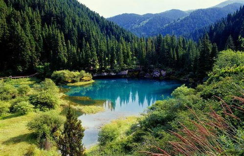 黃龍管理局牟尼溝景區正式實施網上實名制購票