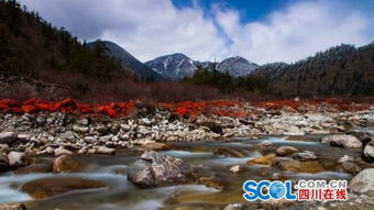 5.19中國旅游日海螺溝景區(qū)免票 走起來吧