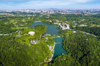 草地露營(yíng)、國(guó)潮音樂節(jié)、少兒音樂匯 南京珍珠泉度假區(qū)假期精彩紛呈，盡顯卓越園區(qū)管理服務(wù)