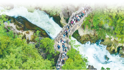 以園區為支點，精準服務與融入新發展格局